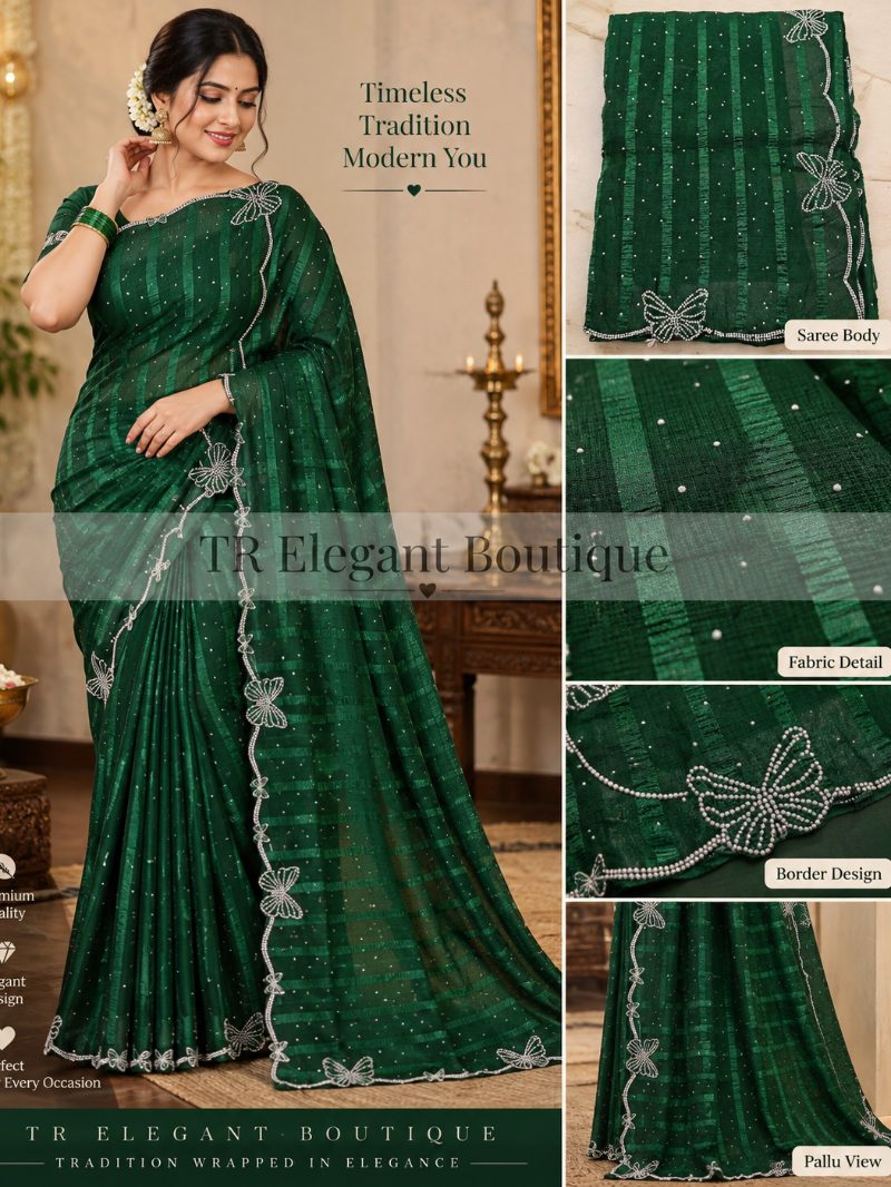 Butterfly Stone work saree